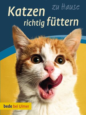 cover image of Katzen richtig  füttern